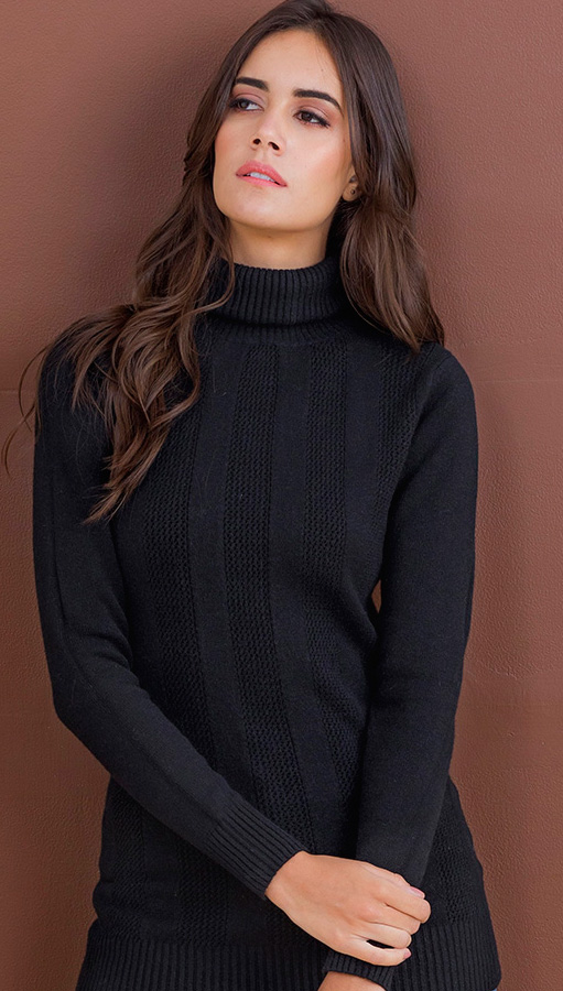 JORDAN TEXTURED TURTLE NECK